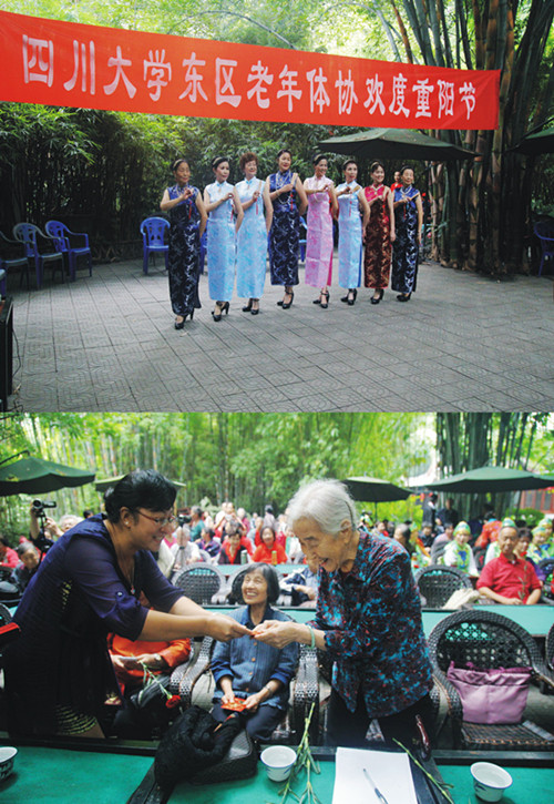 122cc太阳集成游戏