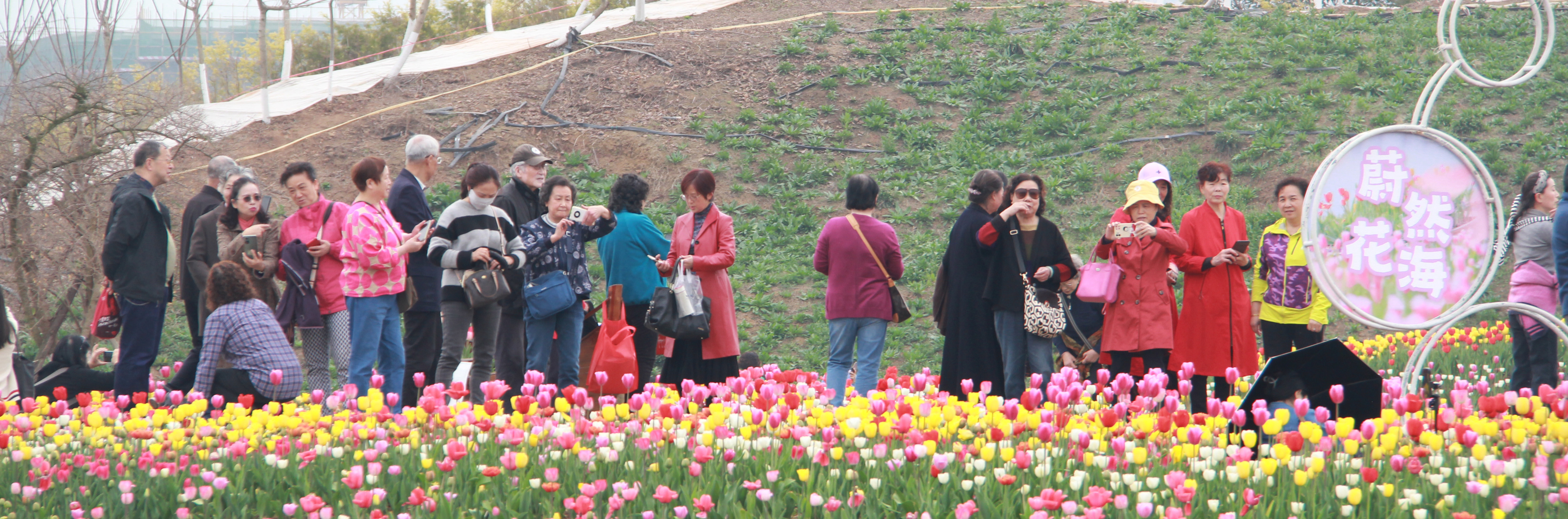 122cc太阳集成游戏