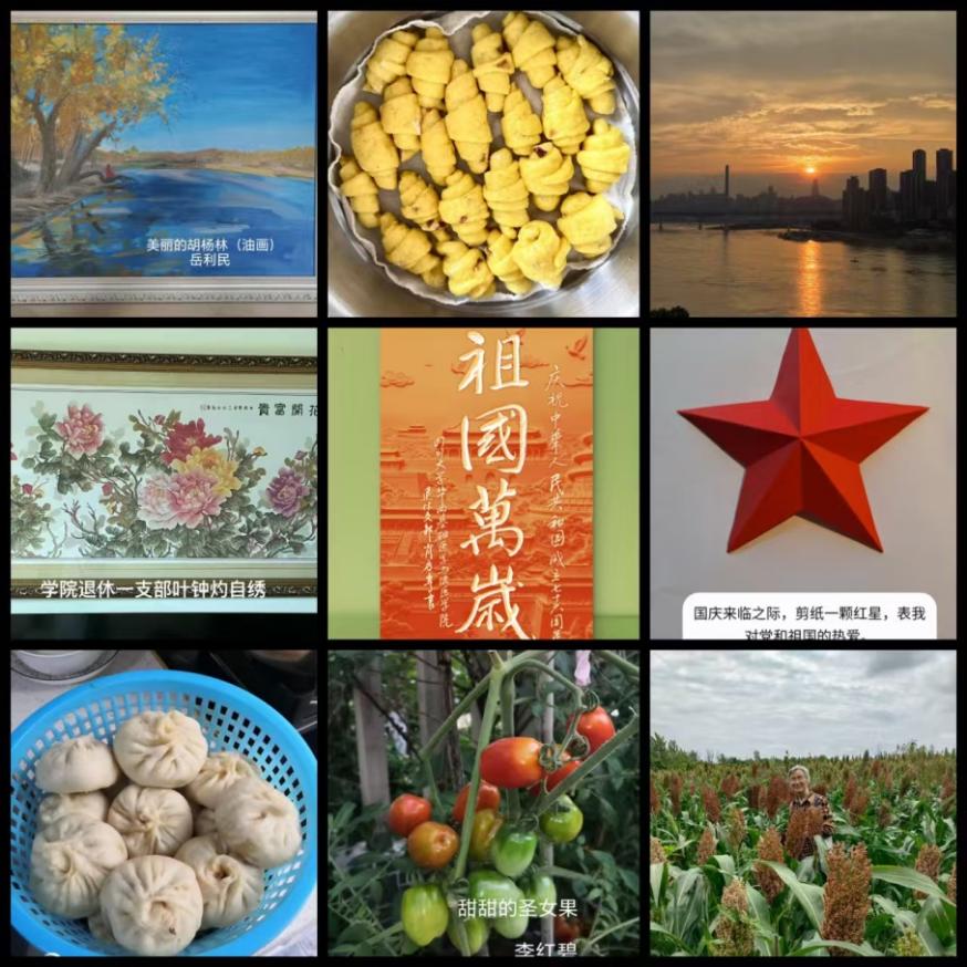 122cc太阳集成游戏