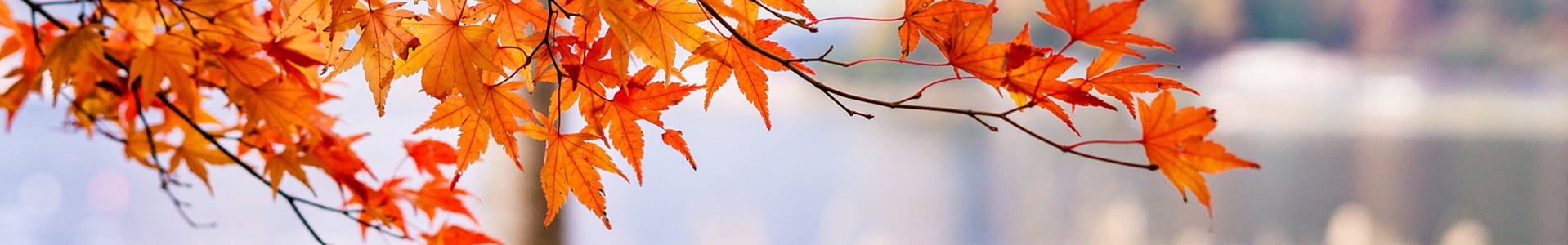 122cc太阳集成游戏