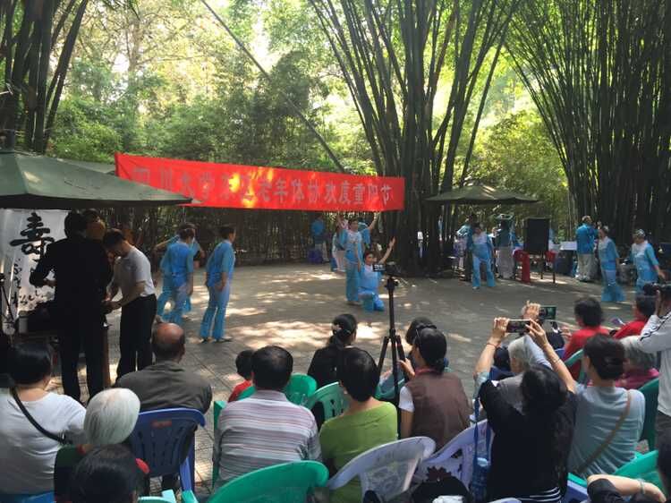 122cc太阳集成游戏